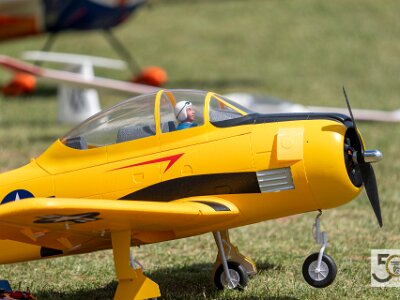 50 Jahre FMSC-112